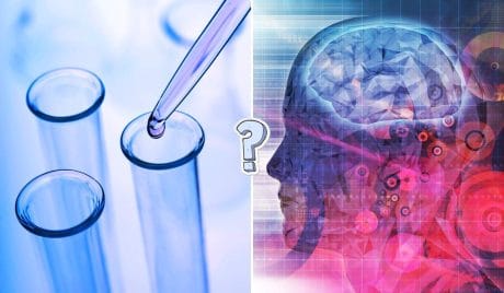 QUIZ: Esperto di scienza?