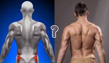 TEST: Quiz Anatomia