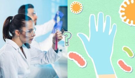 QUIZ: Test di Biologia online