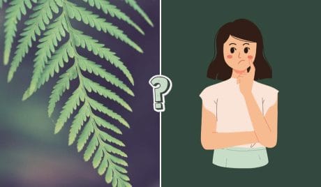 Quiz di biologia