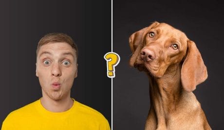 15 domande sul regno animale a cui tutti dovrebbero poter rispondere