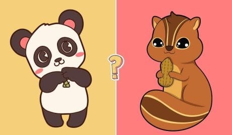 QUIZ: Quanto ne sai del regno animale?