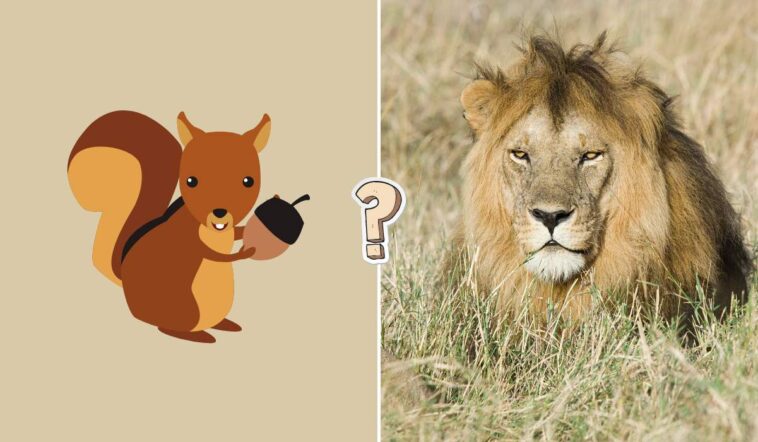 Quiz. Quanto ne sapete della fauna selvatica?