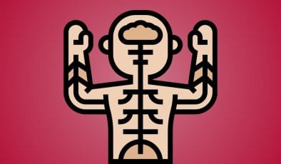 Quiz sul Sistema Nervoso