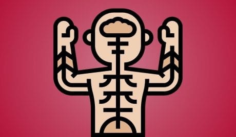 Quiz sul Sistema Nervoso