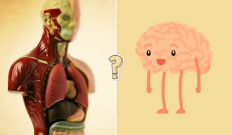 QUIZ: Quanto sai del tuo corpo?