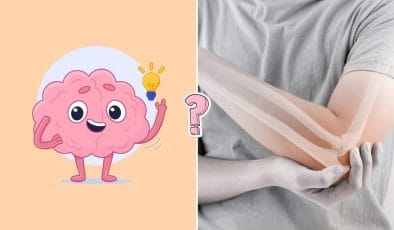 Un semplice test di anatomia?