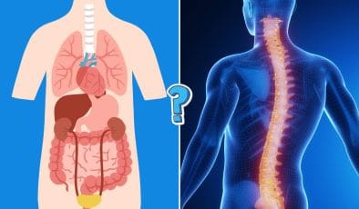 Quiz anatomia umana online