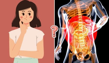 QUIZ: Puoi rispondere a questo quiz di anatomia senza fallire?
