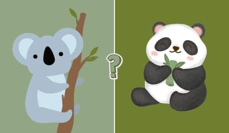 Quiz animali