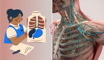 QUIZ: Conosci davvero il tuo corpo?