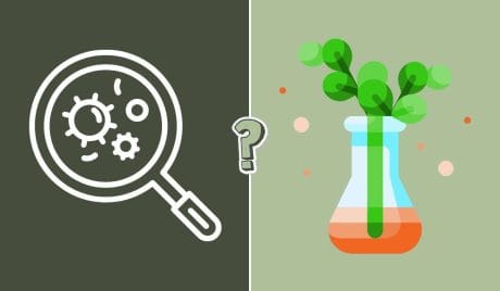 QUIZ: 15 domande di biologia