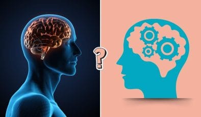 QUIZ: Mostra al mondo che sei una persona con molta cultura