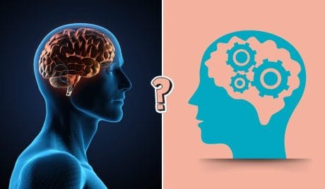 QUIZ: Mostra al mondo che sei una persona con molta cultura