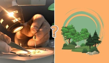 QUIZ: Test di biologia