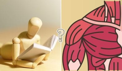 Quiz di anatomia umana