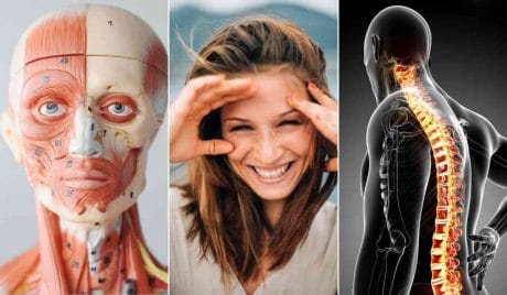 Quiz: Quanto ne sai di anatomia?