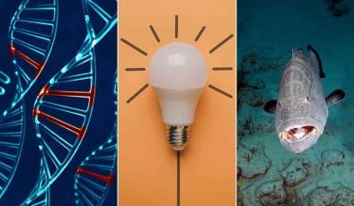 Verifica quanto ne sai col test