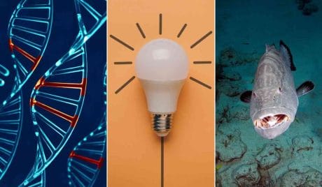 Verifica quanto ne sai col test