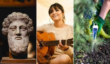 Quiz: La maggior parte sbaglia almeno tre domande