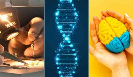 Quiz: Solo un vero esperto riesce a superare la media