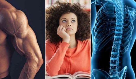 Anatomia Umana - TEST