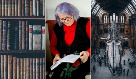 Quiz storia generale