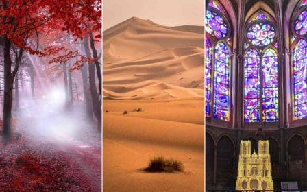 Quiz - 15 domande difficili di cui sicuramente non conosci la risposta