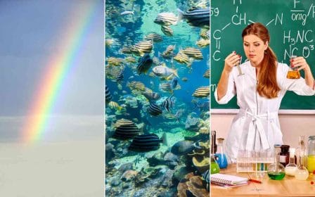 Quiz - Sfida il tuo cervello con il quiz della conoscenza generale
