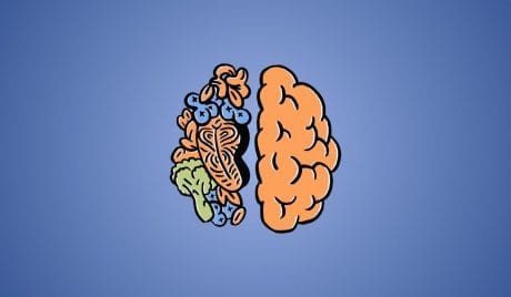 15 domande. Quiz di Cultura Generale