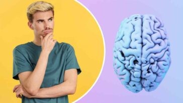 Quiz - Se ottieni più di 10/15, puoi vantartene ovunque