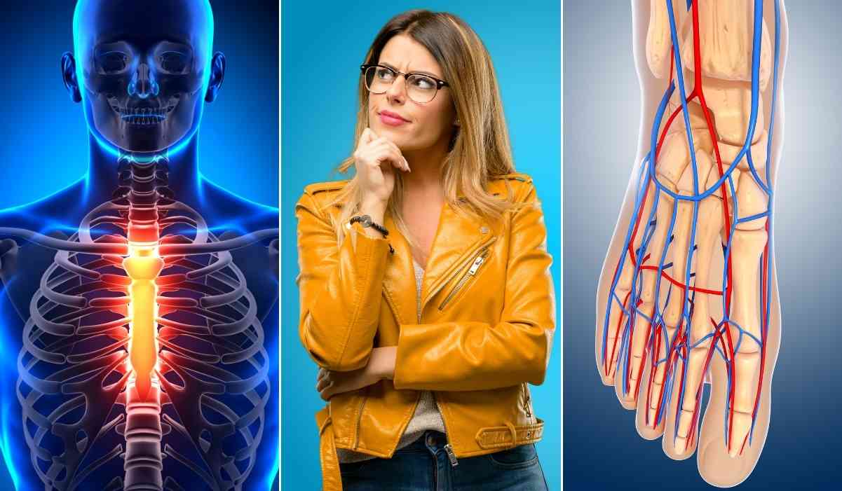 Quiz: domande di anatomia